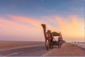 Two days in Kutch is enough to experience its most iconic highlights. Discover how a 2 Days Kutch Tour Package covers the best of the Rann of Kutch Festival region. 